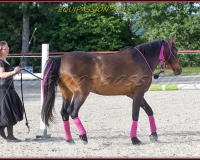 2-13JUIN 0059